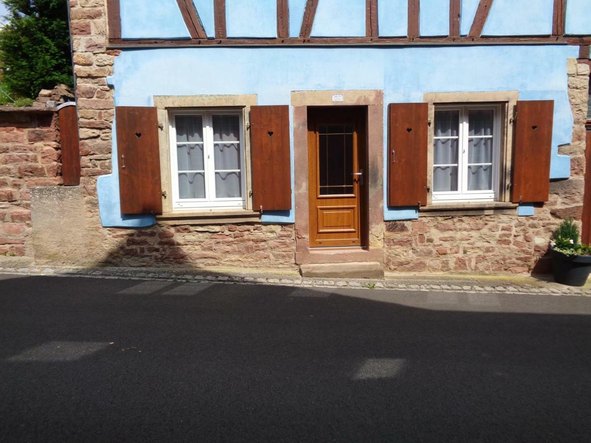 Studio Gite Fischer Ottrott Exterior foto
